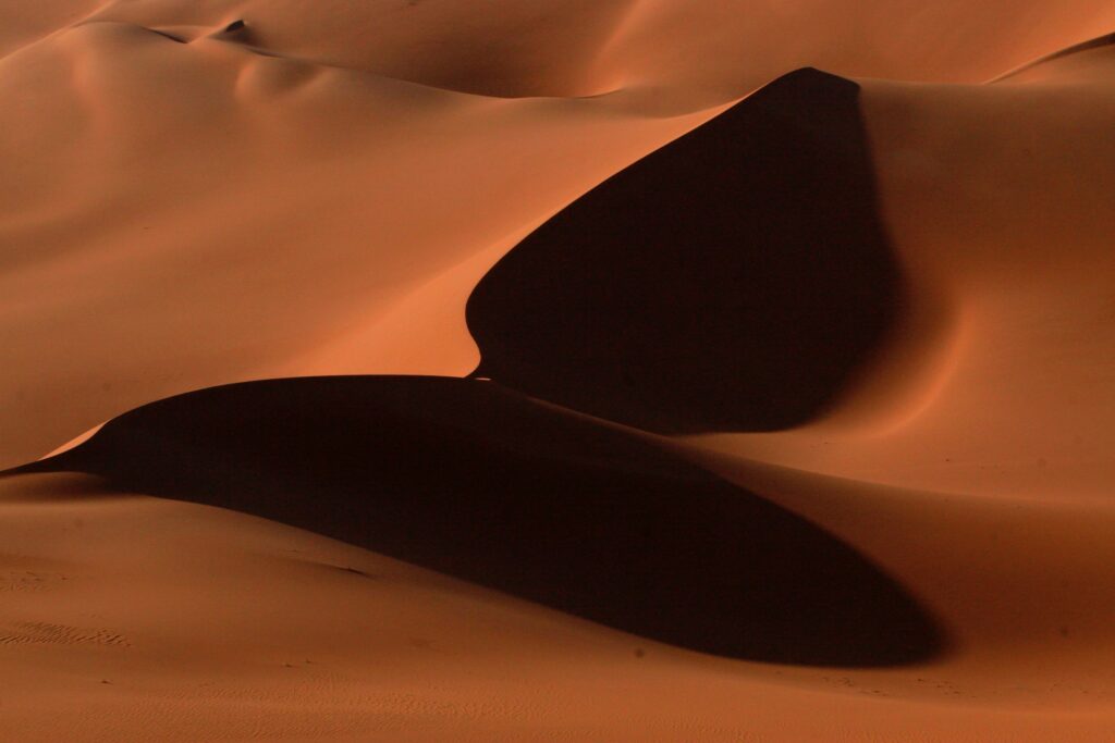 audrius-sutkus-mQScFwpI0SI-unsplash