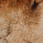 Wood Slab