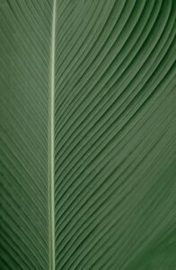 omid-armin-FnZKE3owM1o-unsplash