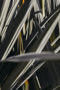 omid-armin-xcS1hienNMY-unsplash