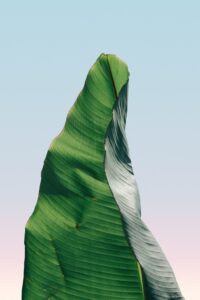 pierre-chatel-innocenti-muMR2IhCbZ0-unsplash